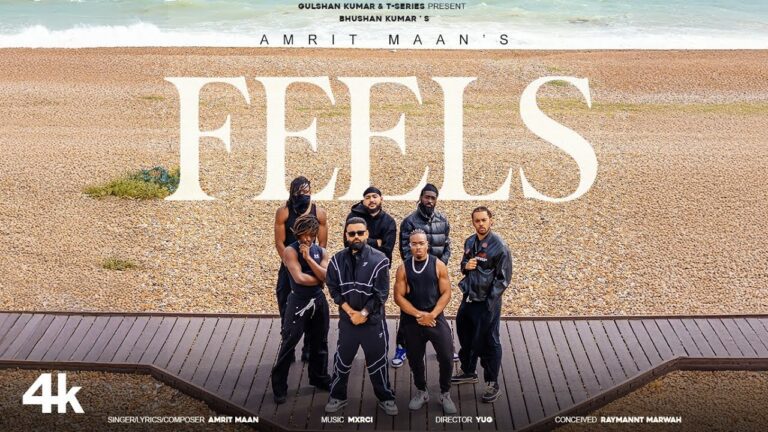 Feels Lyrics - Amrit Maan