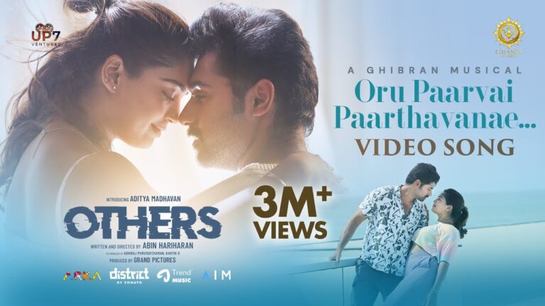 Oru paarvai paarthavanae