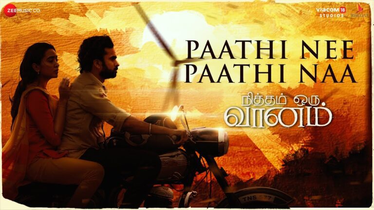 Paathi Nee Paathi Naa Lyrics - Krithika Nelson