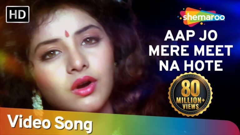 Aap Jo Mere Meet Na Hote Lyrics - Lata Mangeshkar