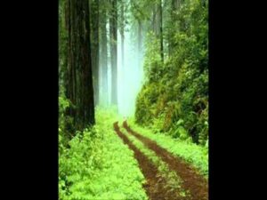 Bahot Khubsoorat Ghazal