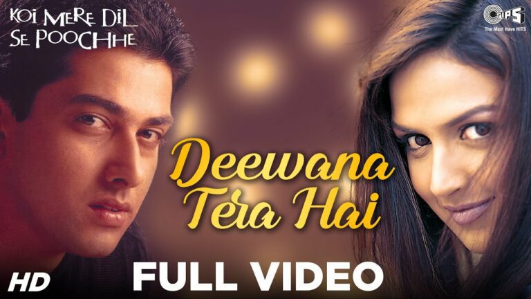 Deewana Tera Hai Lyrics - Udit Narayan