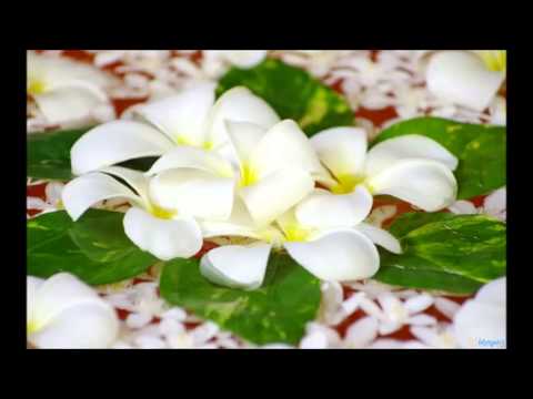 Dhuan Sa Utha Lyrics - Suresh Wadkar