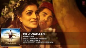 Dil-E-Nadaan Lyrics - Ayushmann Khurrana, Shweta Subram