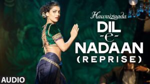 Dil-E-Nadaan (Reprise) Lyrics - Ayushmann Khurrana, Shweta Subram