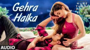 Gehra Halka Lyrics - Divya Kumar
