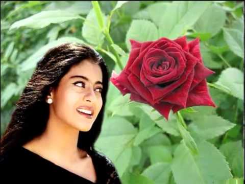 Haseena Haseena Lyrics - Asha Bhosle, Udit Narayan
