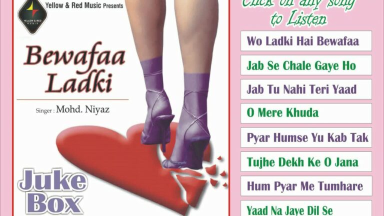 Jab Se Chale Gaye Ho Lyrics - Mohammad Niyaz