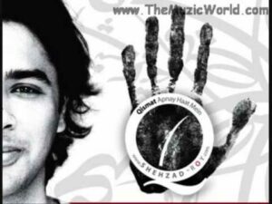 Janay Kahan Lyrics - Shehzad Roy