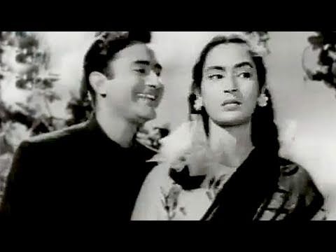 Mana Janab Ne Pukara Nahi Lyrics - Kishore Kumar