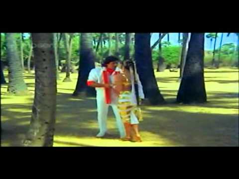 Mere Dil Ne Tujhe Chaha Lyrics - Kavita Krishnamurthy, Suresh Wadkar