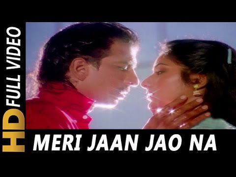 Meri Jaan Jao Na Lyrics - Amit Kumar, Sadhana Sargam