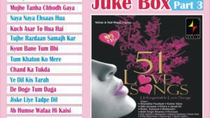 Mujhe Tanha Chhod Gaya Lyrics - Dj Sheizwood