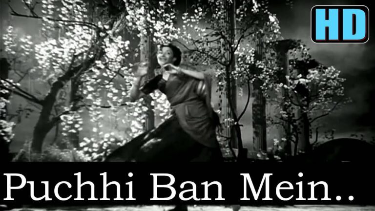 Panchhi Ban Mein Lyrics - Lata Mangeshkar
