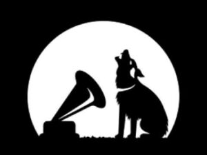 Patiyaan Pathikwaa Lyrics - Aamir Khan