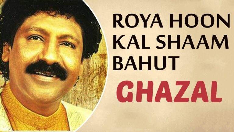 Roya Hoon Kal Shaam Bahut Lyrics - Dinesh Arjuna
