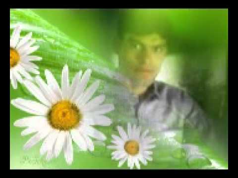 Sharaab Pee Pee Kar Lyrics - Kumar Sanu