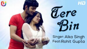 Tere Bin (Title) Lyrics - Alka Singh, Rohit Gupta