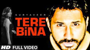 Tere Bina (Title) Lyrics - Suryaveer Hooja