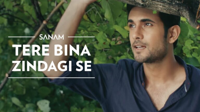 Tere Bina Zindagi Se Lyrics - Sanam Puri