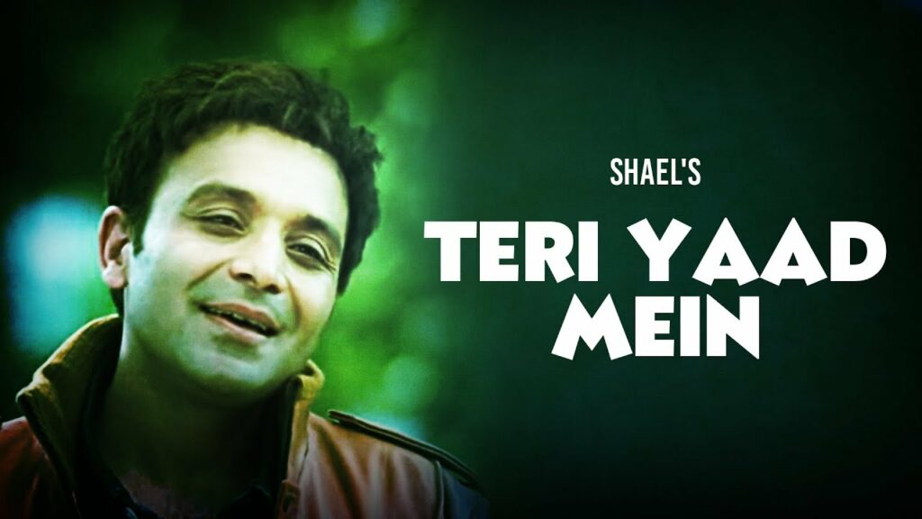 Teri Yaad Mein Lyrics - Shael Oswal