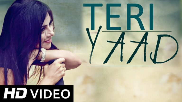 Teri Yaad (Title) Lyrics - Vijay Prakash