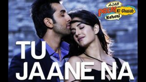 Tu Jane Na Lyrics - Atif Aslam