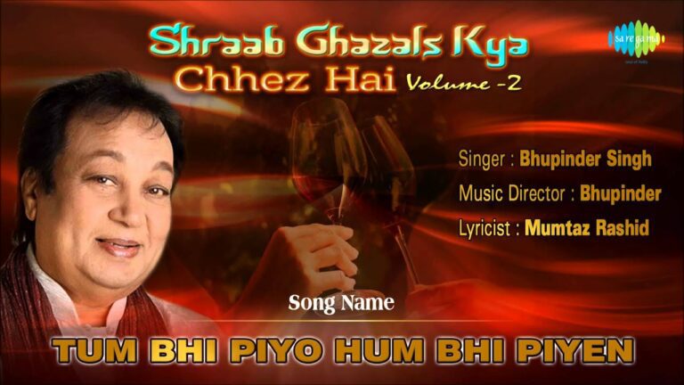Tum Bhi Piyo Hum Bhi Piyen Lyrics - Bhupinder Singh