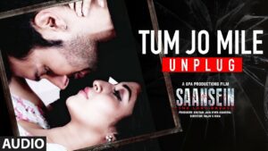 Tum Jo Mile Unplugged Lyrics - Amit Gupta, Pratap Dodla