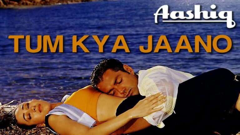 Tum Kya Jaano Lyrics - Alka Yagnik, Udit Narayan