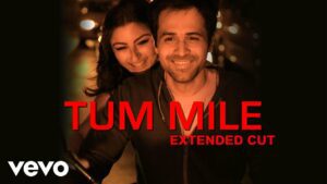Tum Mile Toh Jaadu Chha Gaya Lyrics - Neeraj Shridhar