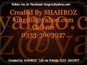 We Go Crazy Lyrics - Apeksha Dandekar, Shree D