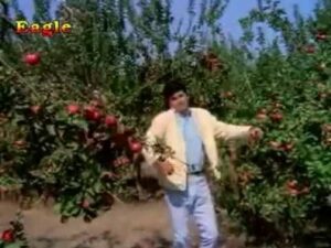 O Nanhe Se Farishte Lyrics Mohammed Rafi Ek Phool Do Mali 1969 bharatlyrics