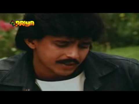 Deewana Mein Hoon Tera Lyrics - Kishore Kumar, Sadhana Sargam