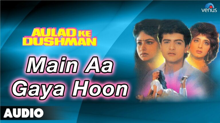 Main Aa Gaya Hoon Lyrics - Amit Kumar