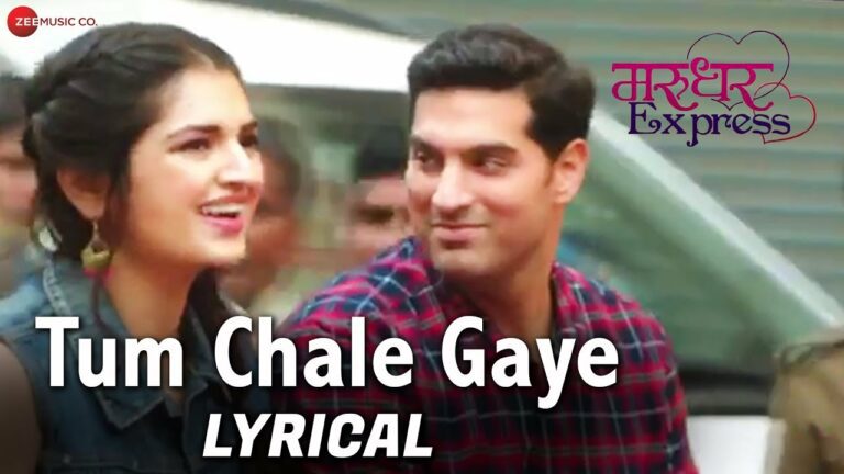Tum Chale Gaye Lyrics - Yasser Desai