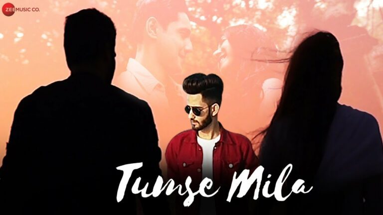 Tumse Mila Lyrics - Ayush Sharma