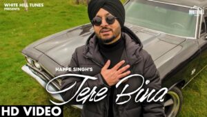Tere Bina Lyrics - Happe Singh