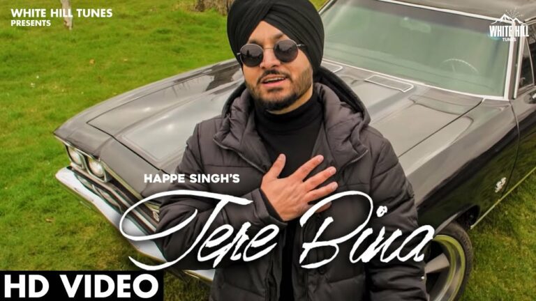 Tere Bina Lyrics - Happe Singh