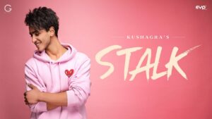 Stalk Lyrics - Kushagra Thakur
