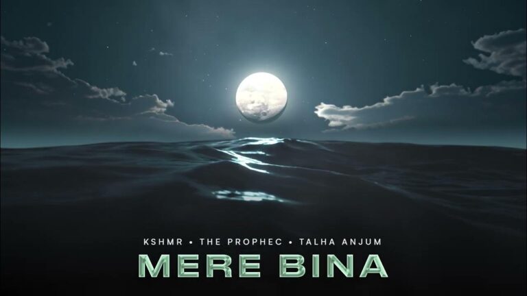 Mere Bina Lyrics - The PropheC, Talha Anjum