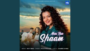 Meri Har Shaam Lyrics - Palak Muchhal