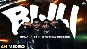 Bijli