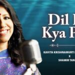 Dil Ka Kya Pata Lyrics - Kavita Krishnamurthy