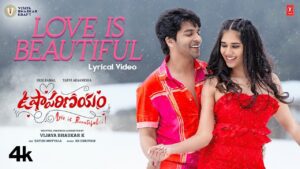 Love Is Beautiful Lyrics - R.R. Dhruvan, Aditi Bhavaraju