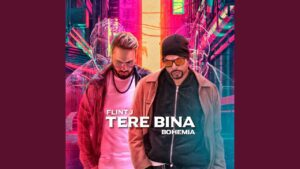 Tere Bina