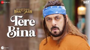 Tere Bina Lyrics - Sajid Ali, Wajid Ali