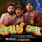 Levai Gaya Lyrics - Jay Soni, Vatsal Goswami