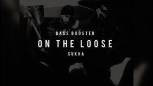 On The Loose