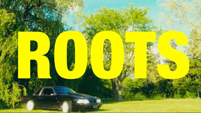 Roots